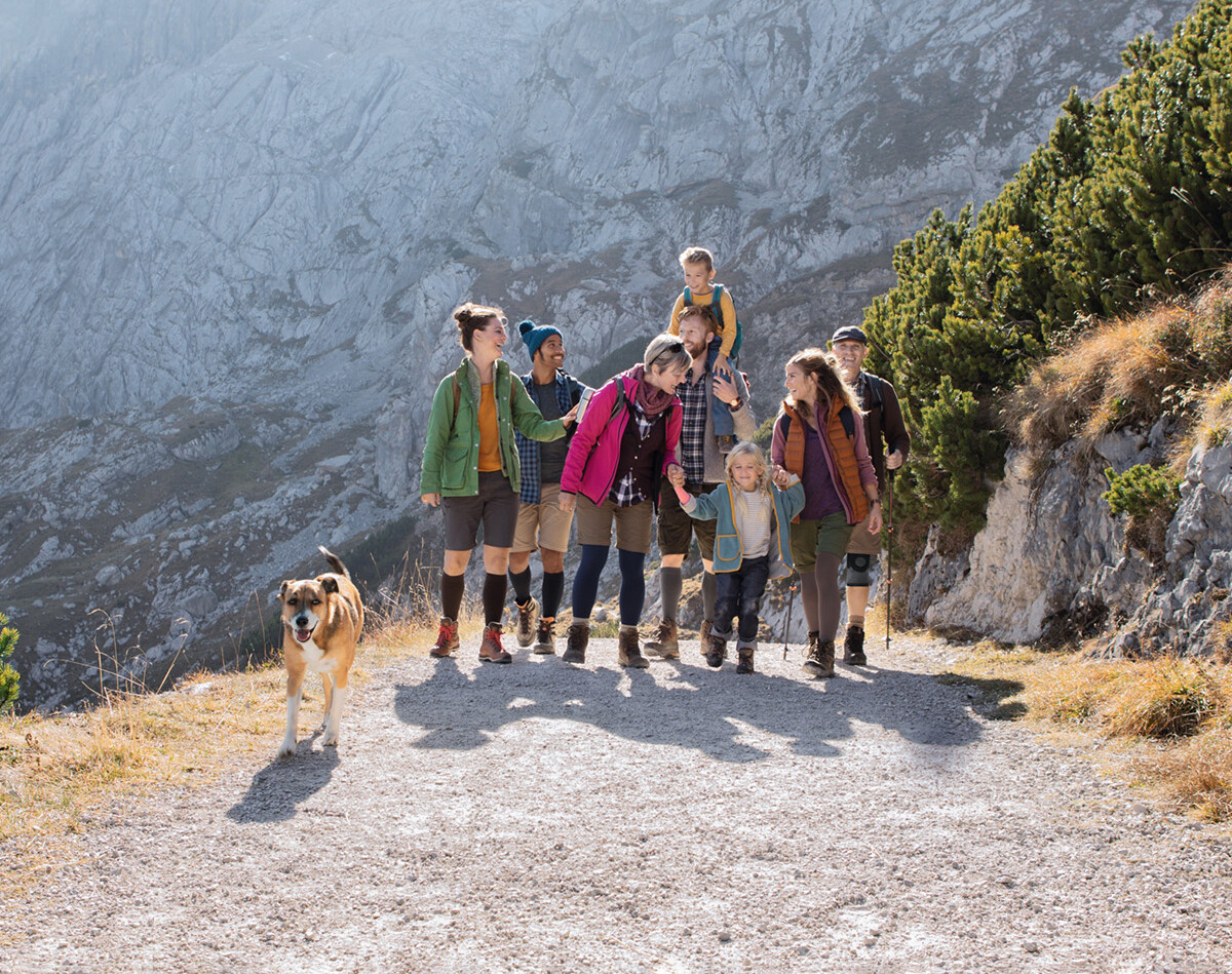 Gruppo di escursionisti su un sentiero di montagna, alcuni con calze compressive e bendaggi, accompagnati da un cane su uno sfondo roccioso.